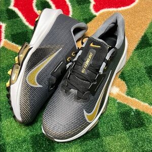 Size Mens 9.5 Nike Infinity Tour 2 Men's Golf Shoes FD0217-003 Gold Gray Black